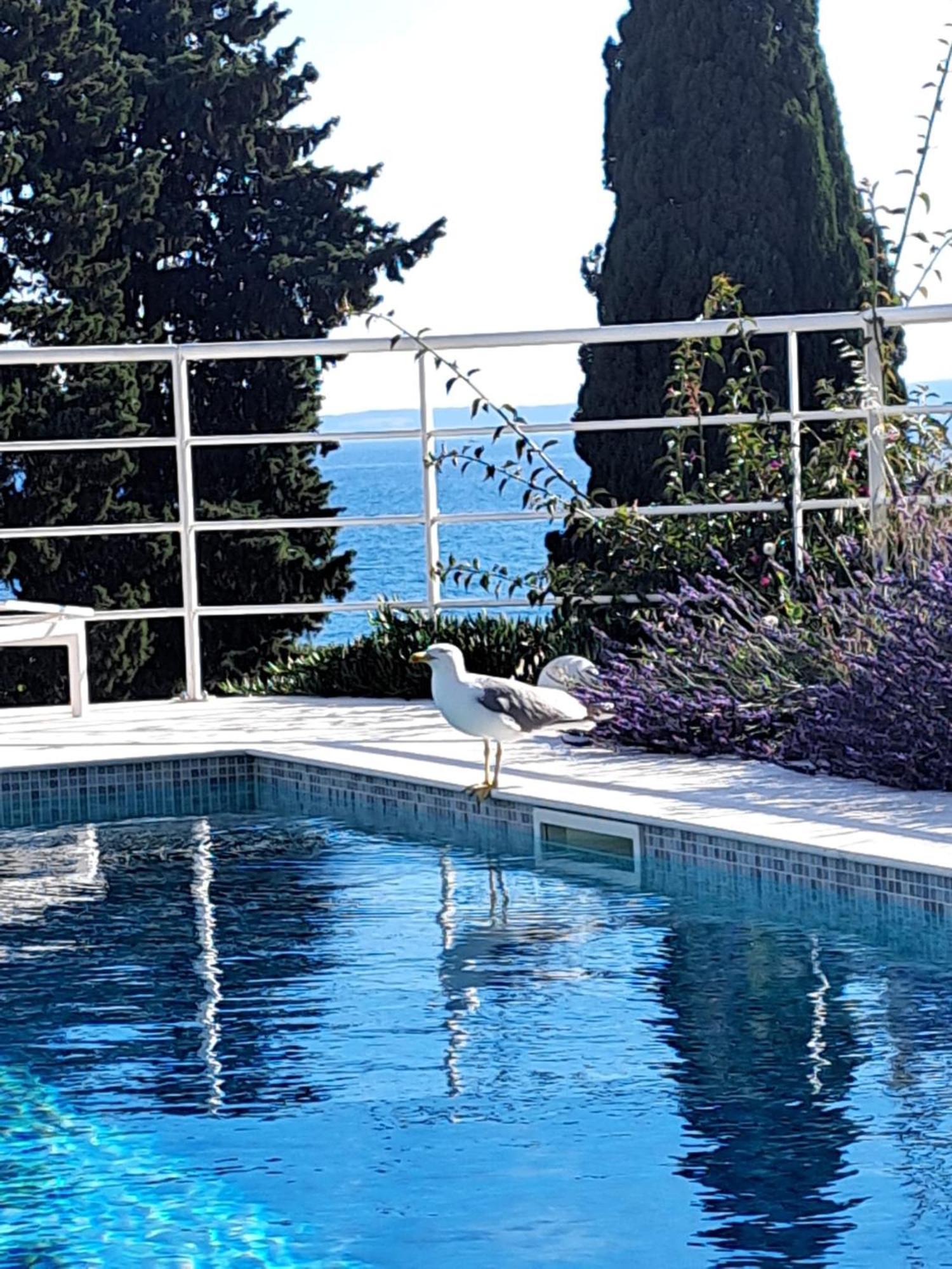Apartment With Private Pool Split Kültér fotó